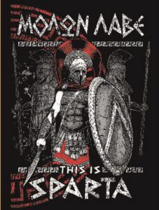 FYCICAL 500 Untitle10d_tn500